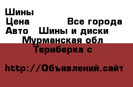 Шины bridgestone potenza s 2 › Цена ­ 3 000 - Все города Авто » Шины и диски   . Мурманская обл.,Териберка с.